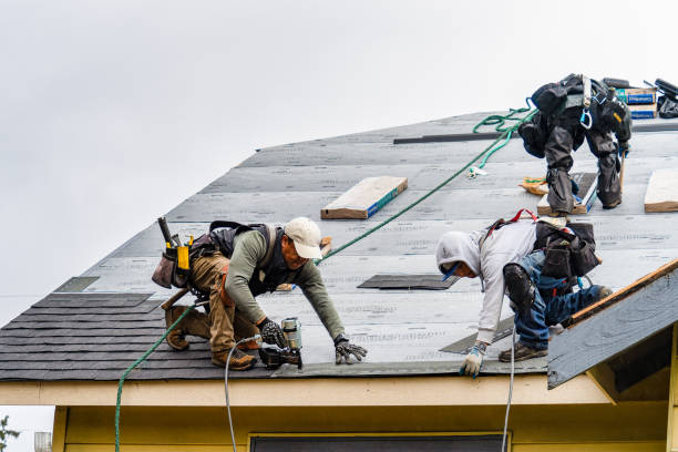 Professional Gutter Installation technician working in Charleston, MS